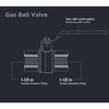 Everflow FIP Gas Ball Valve, Brass 1-1/2" 300T112